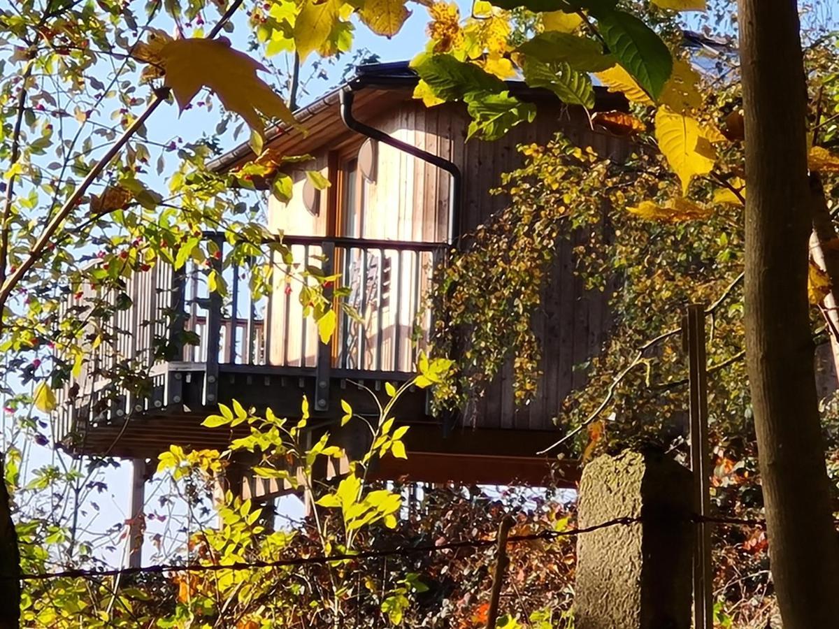 Hotel Waldquelle - Baumhaushotel Aerzen Luaran gambar