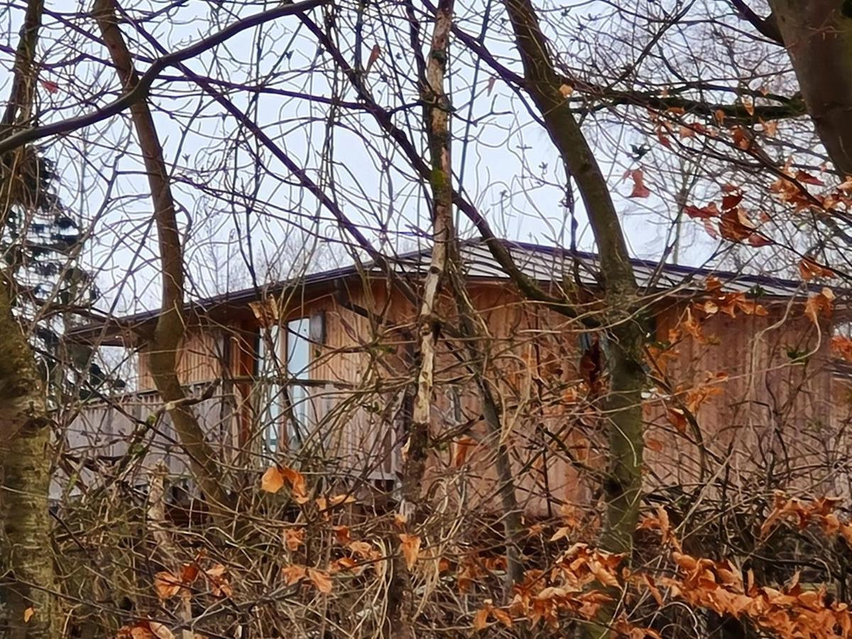 Hotel Waldquelle - Baumhaushotel Aerzen Luaran gambar