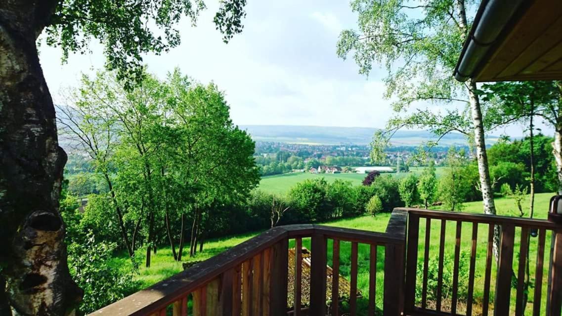 Hotel Waldquelle - Baumhaushotel Aerzen Luaran gambar